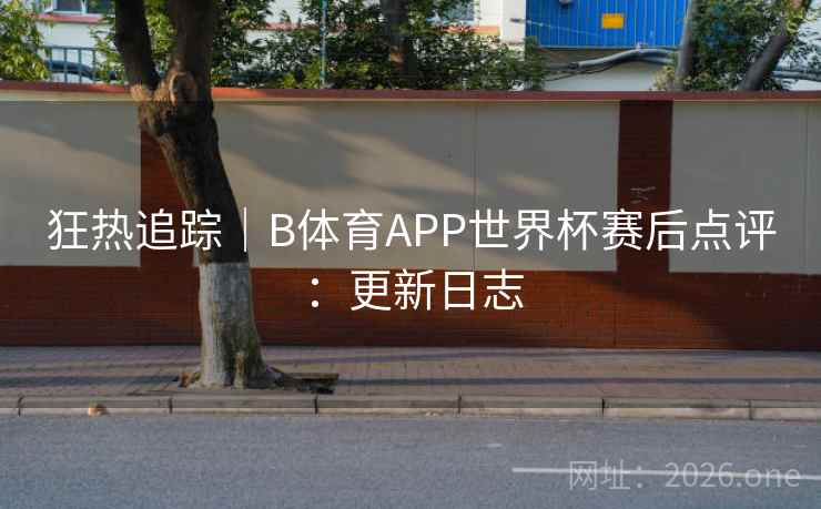 狂热追踪｜B体育APP世界杯赛后点评：更新日志