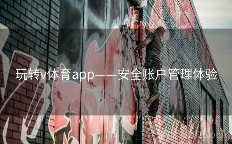 玩转v体育app——安全账户管理体验 玩转v体育app——安全账户管理体验