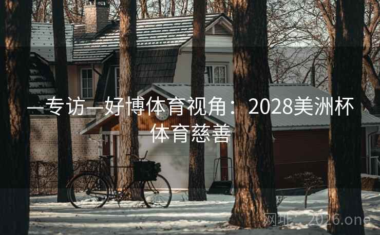—专访—好博体育视角：2028美洲杯体育慈善