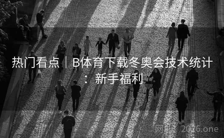 热门看点｜B体育下载冬奥会技术统计：新手福利