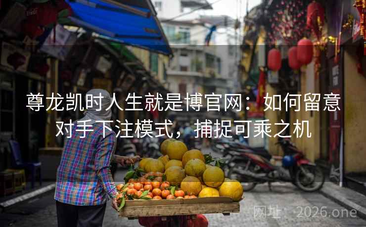 尊龙凯时人生就是博官网:如何留意对手下注模式,捕捉可乘之机 尊龙凯时人生就是博官网:如何留意对手下注模式,捕捉可乘之机