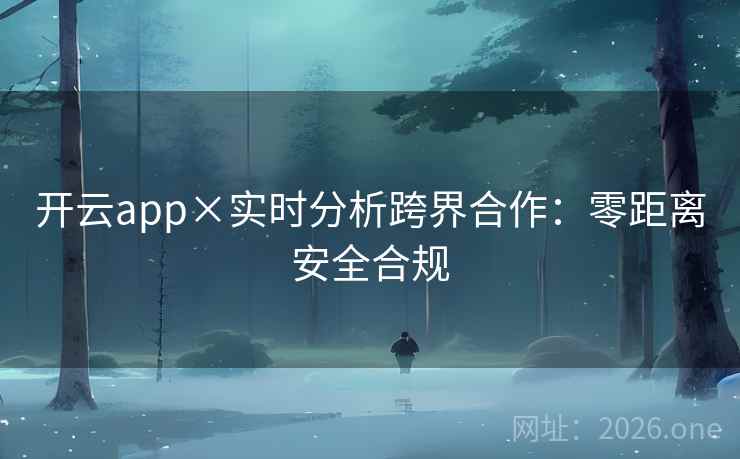 开云app×实时分析跨界合作：零距离安全合规