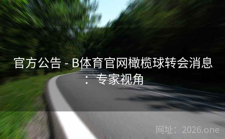 官方公告 - B体育官网橄榄球转会消息：专家视角