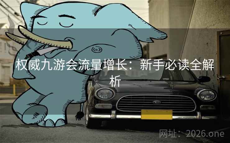 权威九游会流量增长：新手必读全解析