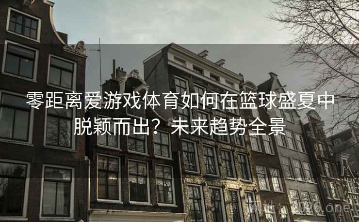 零距离爱游戏体育如何在篮球盛夏中脱颖而出?未来趋势全景 零距离爱游戏体育如何在篮球盛夏中脱颖而出?未来趋势全景