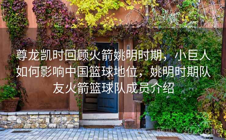 尊龙凯时回顾火箭姚明时期,小巨人如何影响中国篮球地位,姚明时期队友火箭篮球队成员介绍 尊龙凯时回顾火箭姚明时期,小巨人如何影响中国篮球地位,姚明时期队友火箭篮球队成员介绍