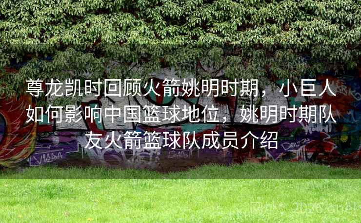 尊龙凯时回顾火箭姚明时期,小巨人如何影响中国篮球地位,姚明时期队友火箭篮球队成员介绍 尊龙凯时回顾火箭姚明时期,小巨人如何影响中国篮球地位,姚明时期队友火箭篮球队成员介绍