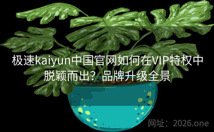 极速kaiyun中国官网如何在VIP特权中脱颖而出？品牌升级全景
