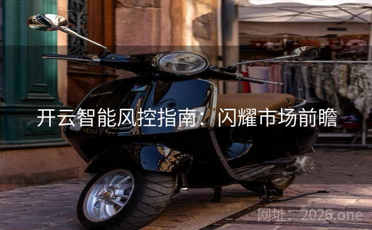 开云智能风控指南：闪耀市场前瞻