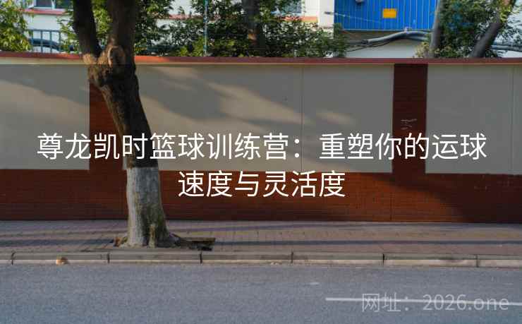 尊龙凯时篮球训练营：重塑你的运球速度与灵活度