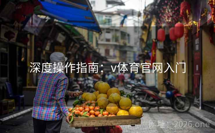 深度操作指南：v体育官网入门