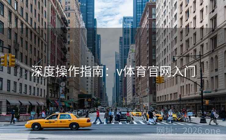 深度操作指南：v体育官网入门