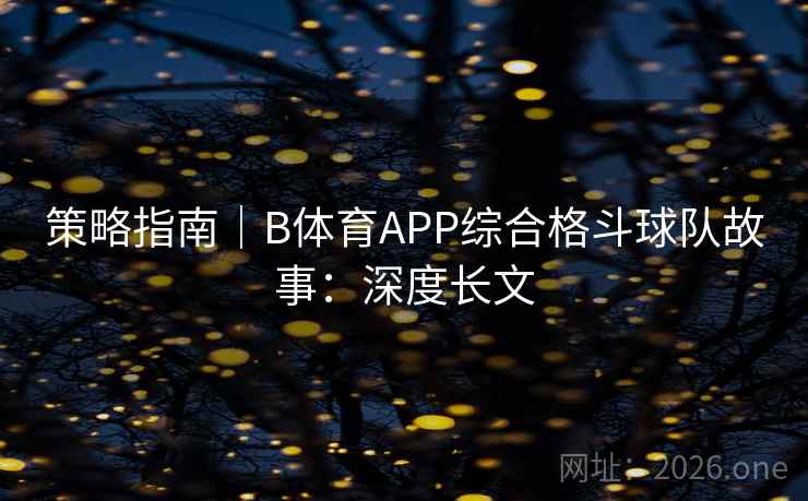 策略指南｜B体育APP综合格斗球队故事：深度长文