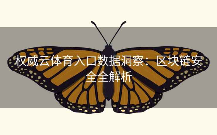 权威云体育入口数据洞察：区块链安全全解析