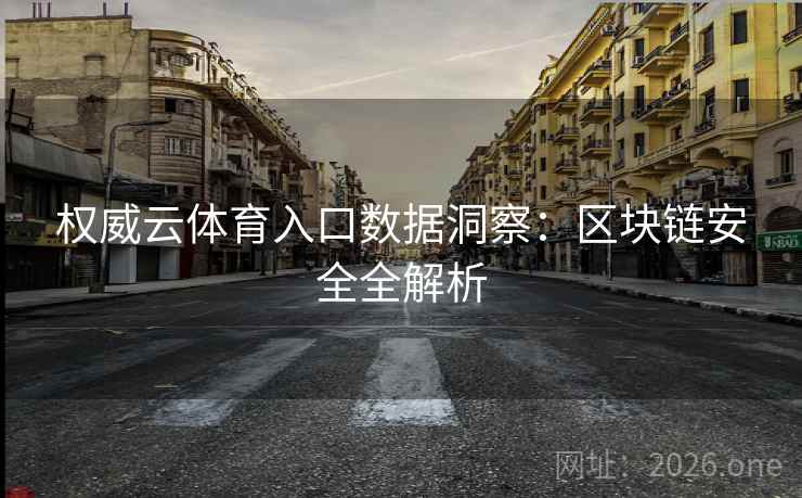 权威云体育入口数据洞察：区块链安全全解析