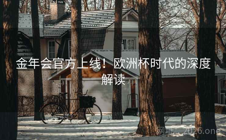 金年会官方上线！欧洲杯时代的深度解读