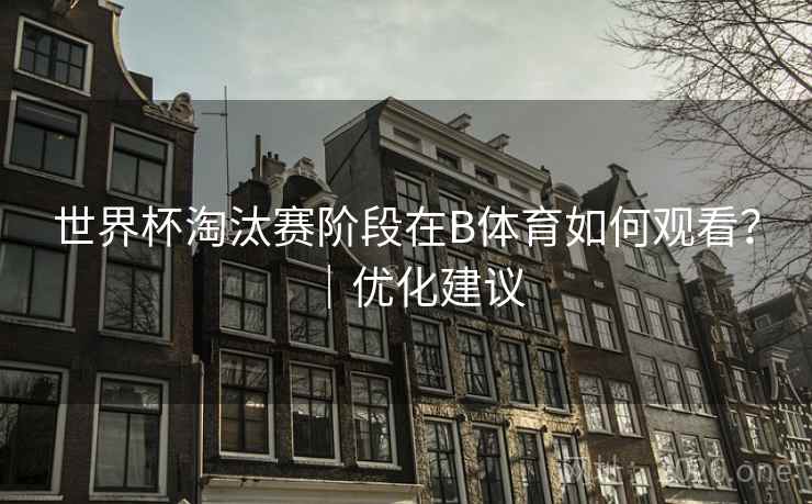 世界杯淘汰赛阶段在B体育如何观看?|优化建议 世界杯淘汰赛阶段在B体育如何观看?|优化建议