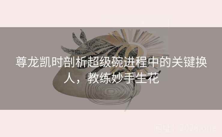 尊龙凯时剖析超级碗进程中的关键换人,教练妙手生花 尊龙凯时剖析超级碗进程中的关键换人,教练妙手生花