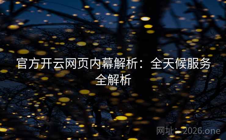 官方开云网页内幕解析：全天候服务全解析