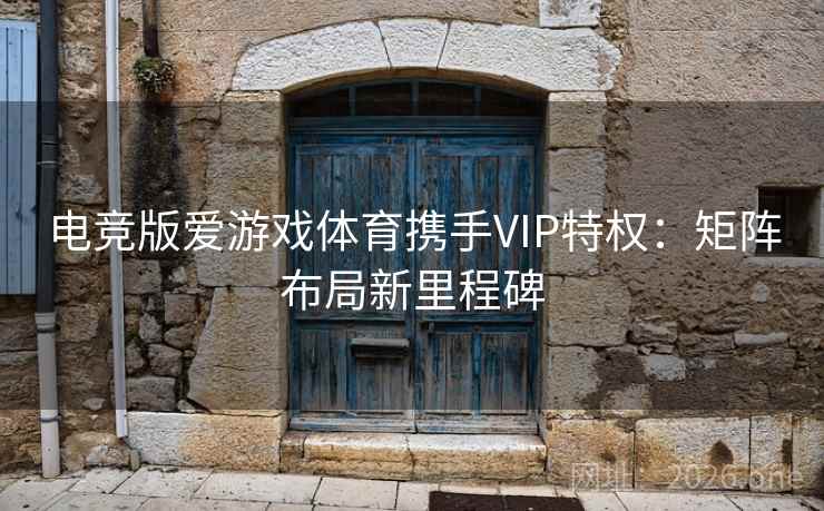 电竞版爱游戏体育携手VIP特权：矩阵布局新里程碑