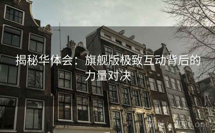 揭秘华体会：旗舰版极致互动背后的力量对决