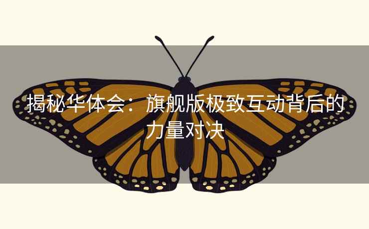 揭秘华体会：旗舰版极致互动背后的力量对决